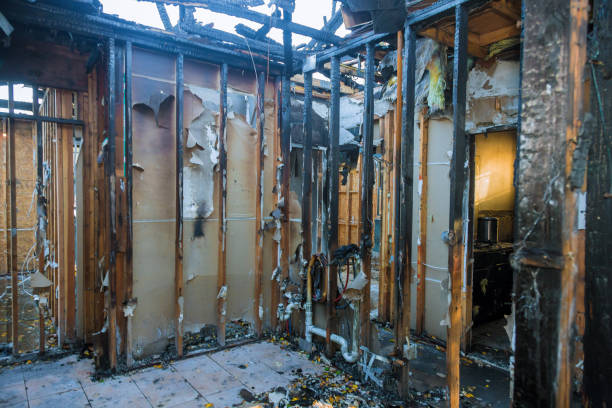 Professional Odor Removal technician working in Purcellville, VA