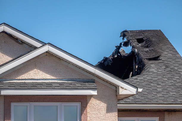 Top rated local Odor Removal specialists in Purcellville, VA